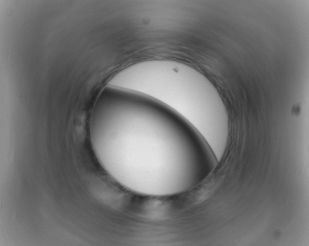 X0000091930319200709051246