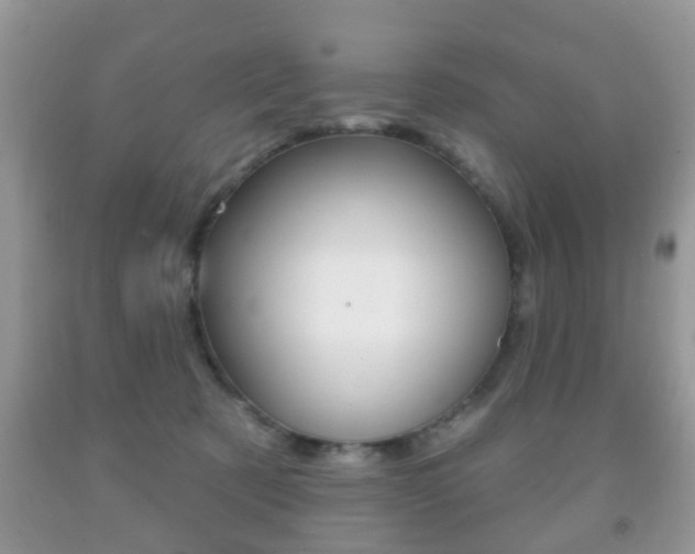 X0000091930321200709051246