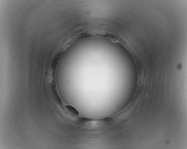 X0000091930323200709051246