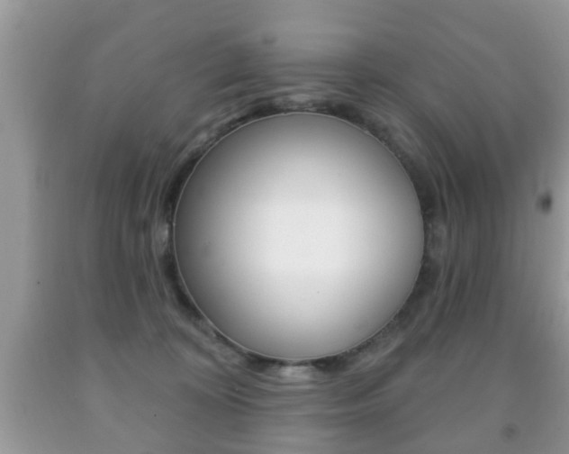 X0000091930324200709051246