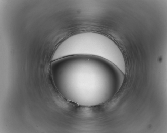 X0000091930325200709051246