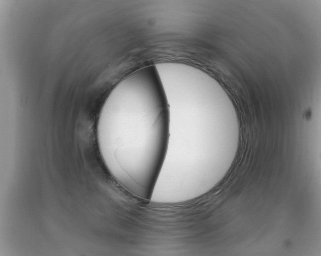X0000091930327200709051246