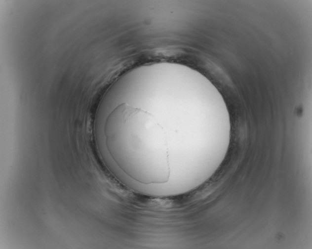 X0000091930328200709051246