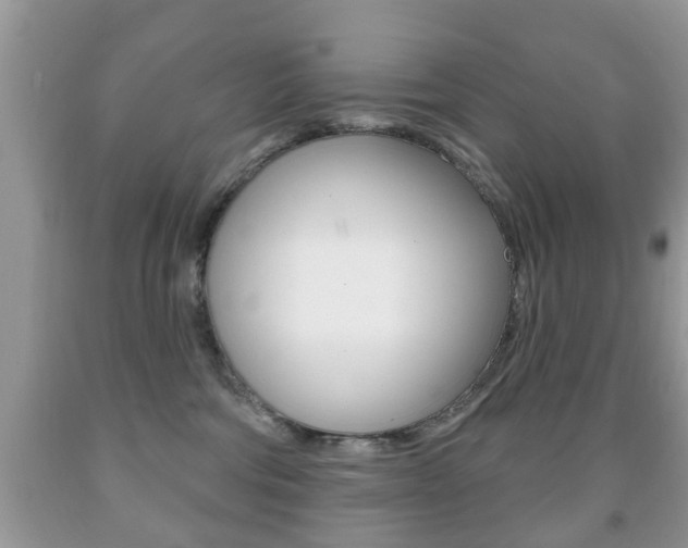 X0000091930330200709051246