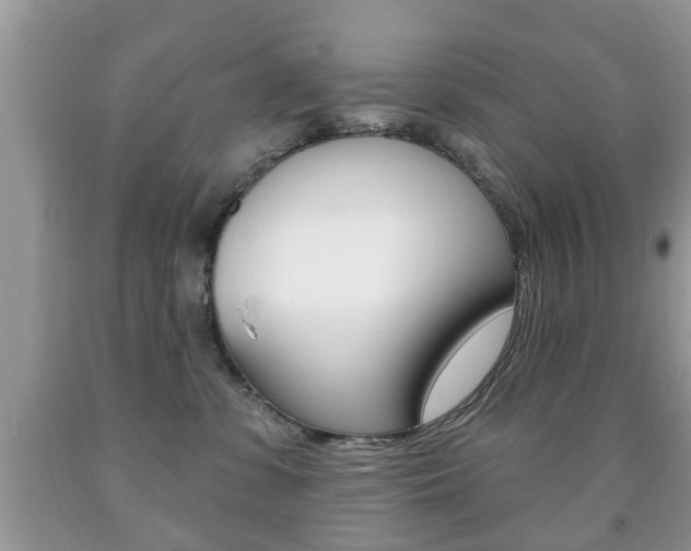 X0000091930331200709051246