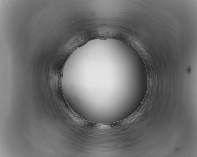 X0000091930333200709051246