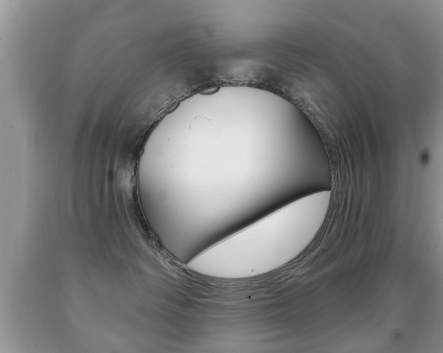 X0000091930334200709051246