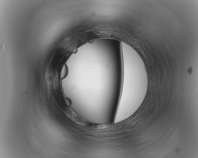 X0000091930335200709051246