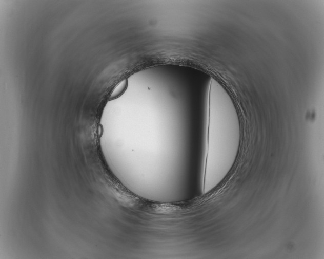 X0000091930336200709051246