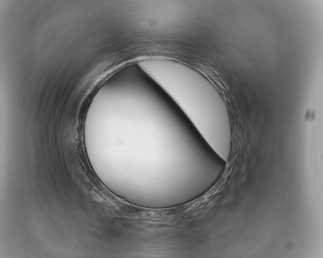 X0000091930338200709051246