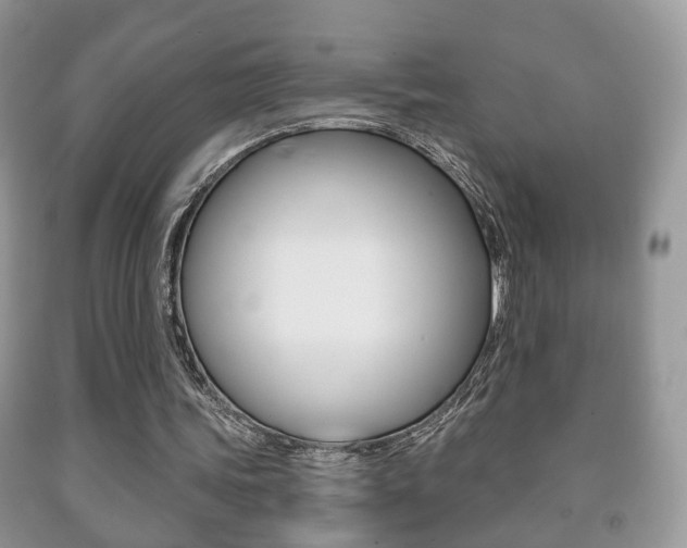 X0000091930339200709051246