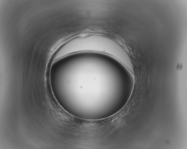 X0000091930340200709051246