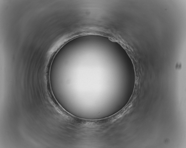X0000091930341200709051246