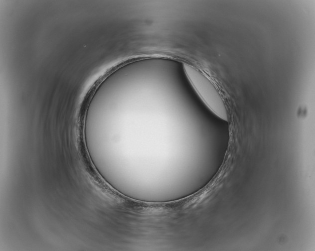 X0000091930342200709051246