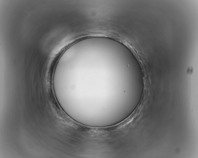X0000091930343200709051246