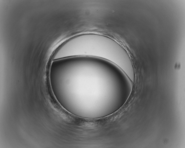 X0000091930344200709051246