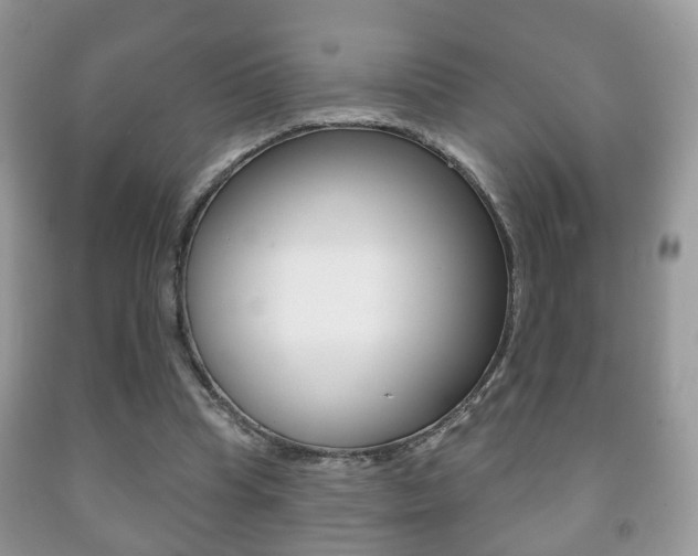 X0000091930345200709051246