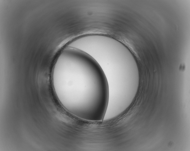 X0000091930348200709051246