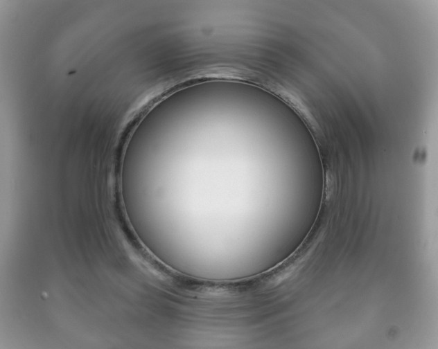 X0000091930349200709051246