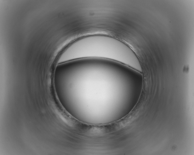 X0000091930350200709051246