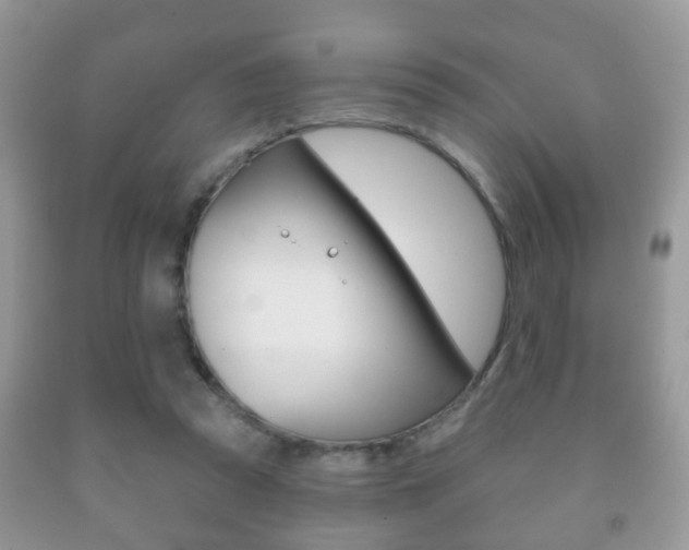 X0000091930353200709051246