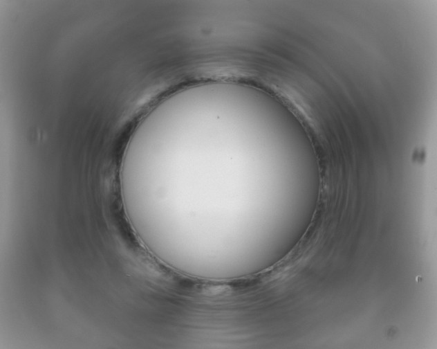 X0000091930355200709051246
