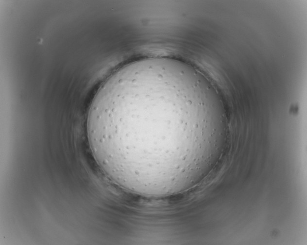 X0000091930359200709051246