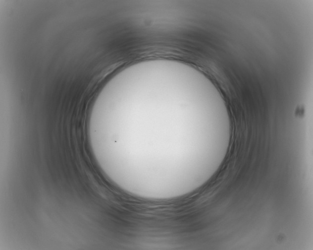 X0000091930360200709051246