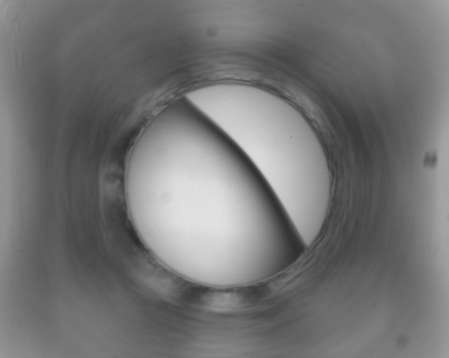 X0000091930361200709051246