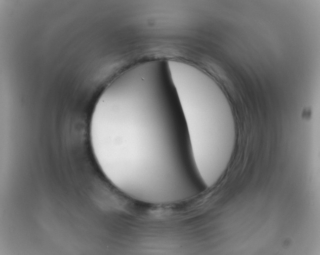 X0000091930362200709051246