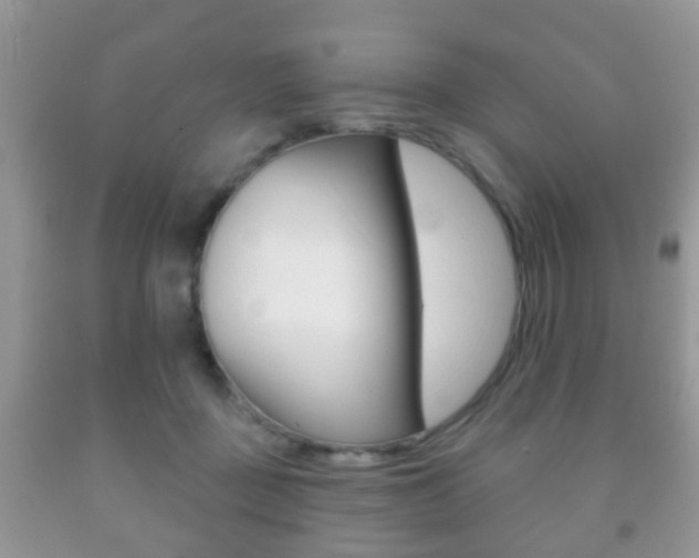 X0000091930363200709051246