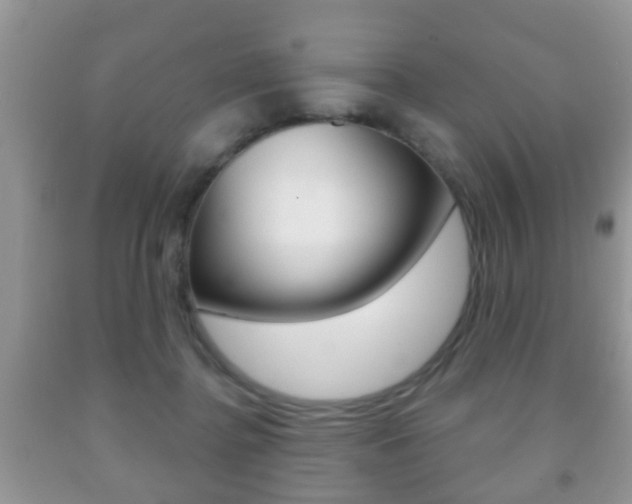 X0000091930364200709051246
