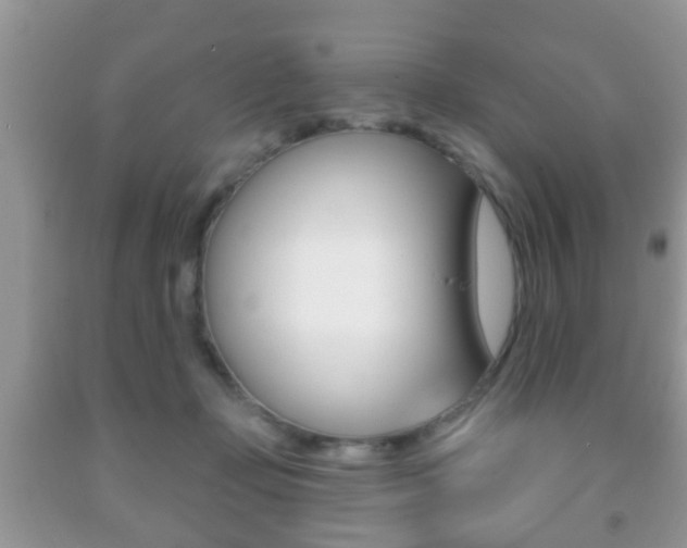 X0000091930365200709051246