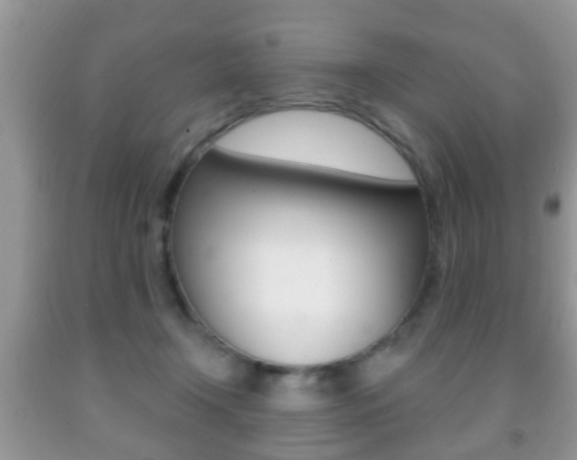 X0000091930366200709051246