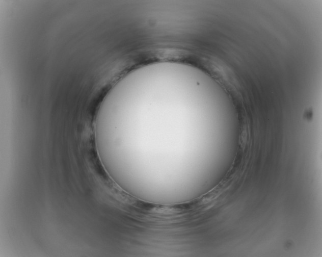 X0000091930367200709051246