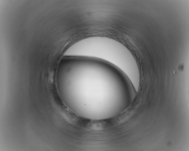 X0000091930368200709051246