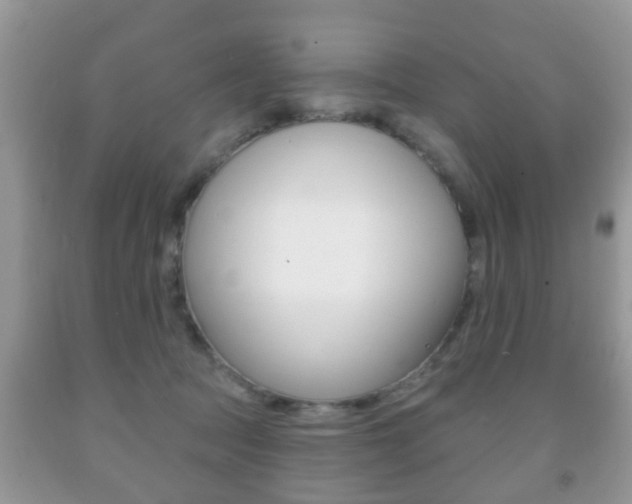 X0000091930369200709051246