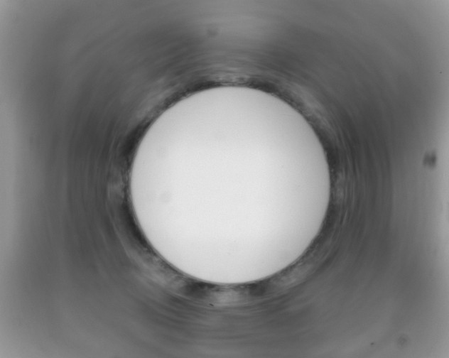 X0000091930370200709051246