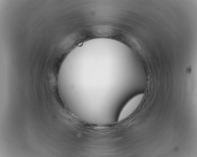 X0000091930371200709051246