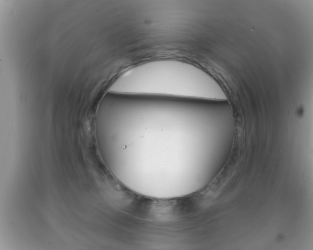 X0000091930373200709051246