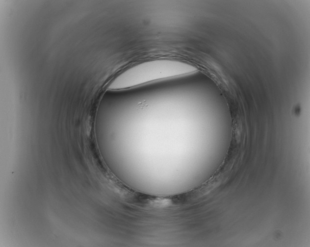 X0000091930374200709051246