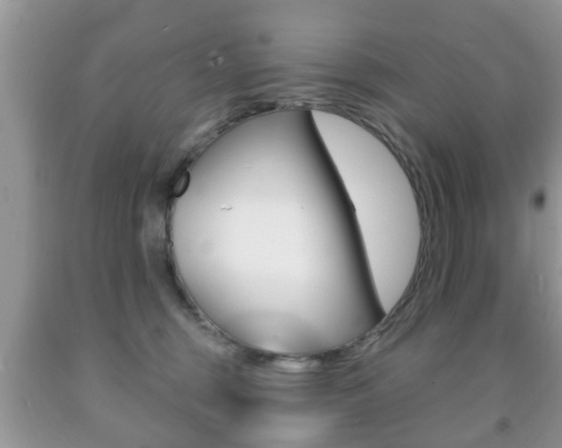 X0000091930375200709051246