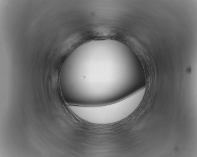 X0000091930376200709051246