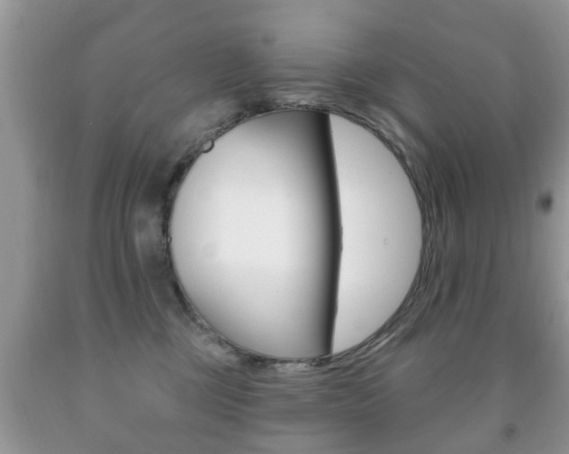 X0000091930377200709051246