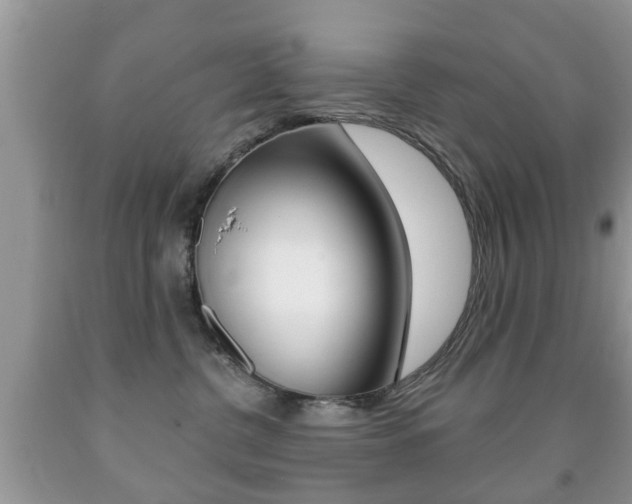 X0000091930380200709051246