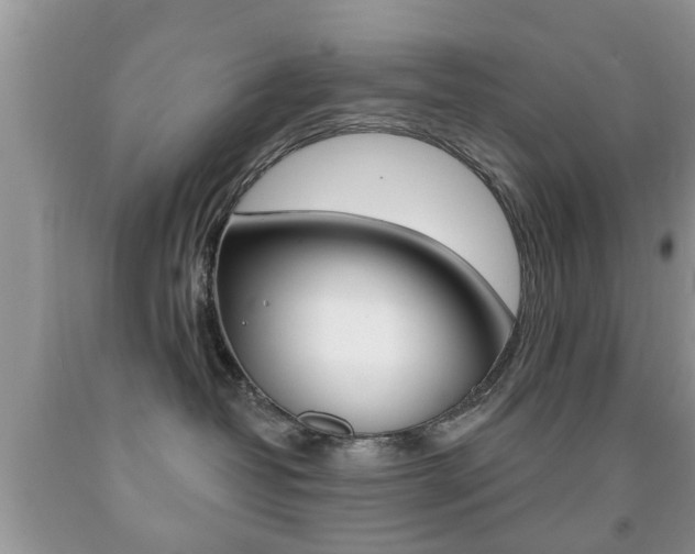 X0000091930382200709051246