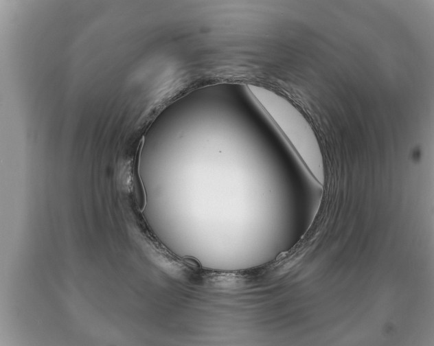 X0000091930383200709051246