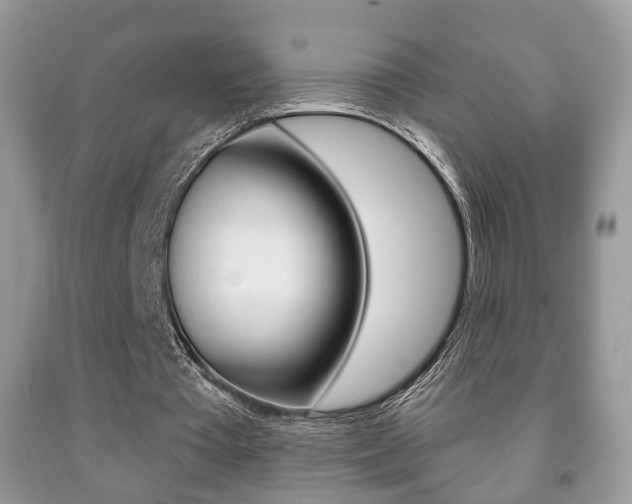 X0000091930385200709051246