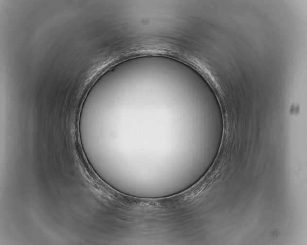 X0000091930386200709051245