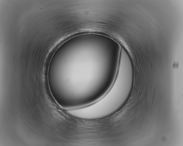 X0000091930387200709051245